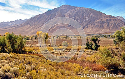 View of the Eastern Sierra Nevada US Hwy 395 Stock Photo