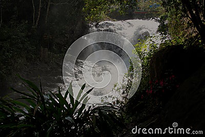 View of the elephant waterfall in Vietnam Stock Photo