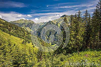 View of Elm village and Swiss mountains - Piz Segnas, Piz Sardona, Laaxer Stockli from Ampachli, Glarus, Switzerland, Europe Stock Photo