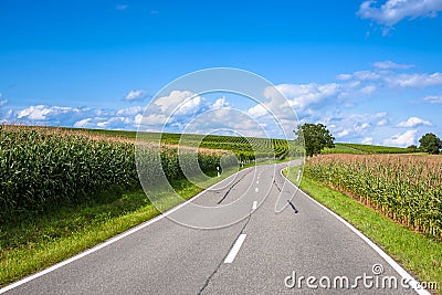 View of empty road with cornfield and trees Stock Photo