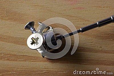 SCREWS ATTACHED TO A TELESCOPIC MAGNETIC WAND Stock Photo