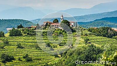 View of famous wine region Goriska Brda hills in Slovenia Stock Photo