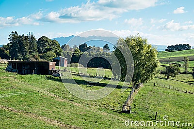 View of farm land at Ohaupo, Waikato, New Zealand NZ NZL looking towards Mount Mt Titiraupenga Stock Photo