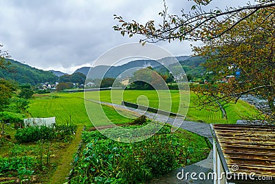 Fields and countryside, in Shuzenji Stock Photo