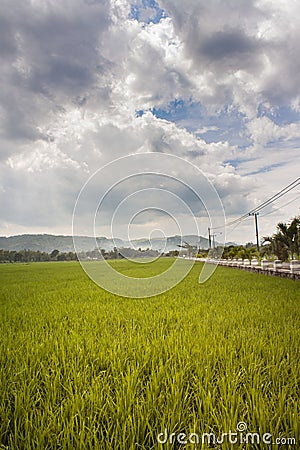 Landscape views of field and cloud Stock Photo