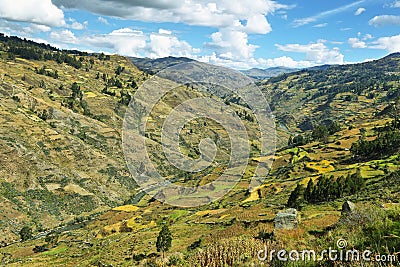 View of fields in the way to Huanuco, Peru Stock Photo