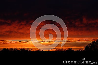 View of a fiery sunset with orange clouds and silhouettes of trees Stock Photo