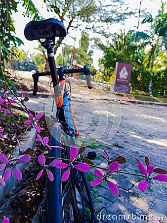 View of the flower and the roadbike Stock Photo
