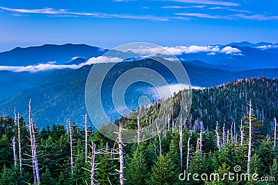 View of fog in the Smokies from Clingman's Dome Observation Towe Stock Photo