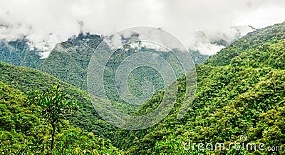 View on foggy death road in the Yungas in Bolivia Stock Photo