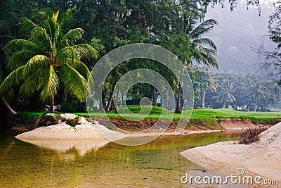 View on foggy jungle Stock Photo