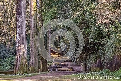 View of forest on BuÃ§aco mountain, with ancient fountain Stock Photo