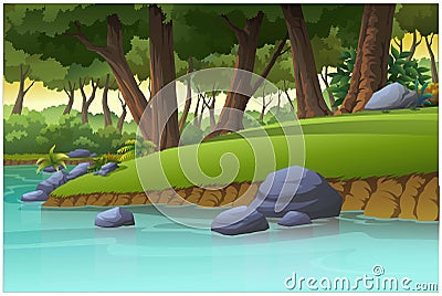 View in the forest at sunset Vector Illustration