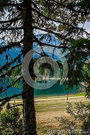 Lake in the forest park Durmitor. Montenegro. Stock Photo