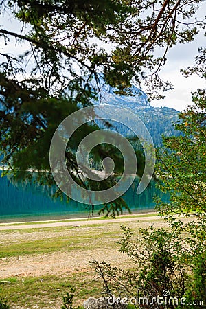 Lake in the forest park Durmitor. Montenegro. Stock Photo