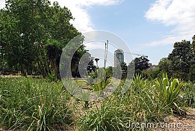 A view from Fragrance Garden on the construction of a new skyscraper Stock Photo