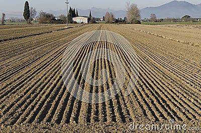 View of freshly plowed land Stock Photo