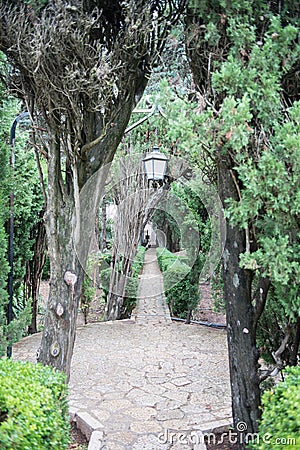 View into the garden of the Chopin Museum in Valdemossa, Spain, Stock Photo