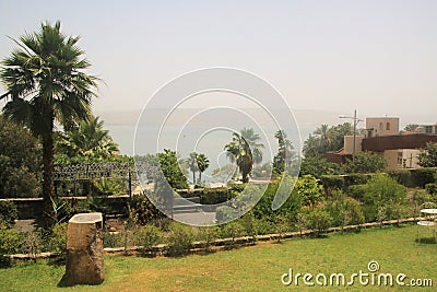 A view of a garden Stock Photo