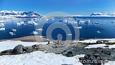 View of the Geographic North Pole Stock Photo