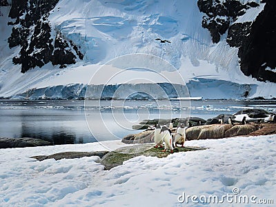 View of the Geographic North Pole Stock Photo