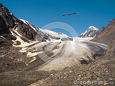 View of a glacier on a high-altitude plateau. An eagle over a glacier Stock Photo