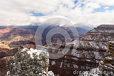 View of the Grand Canyon, USA Stock Photo