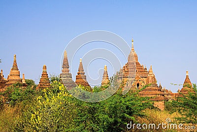 View green grass and bush on group of towers of ancient buddhist brick stone stupas spread across the plain of Bagan Stock Photo