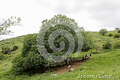 A view of green mountains and grass, dirt roads Editorial Stock Photo