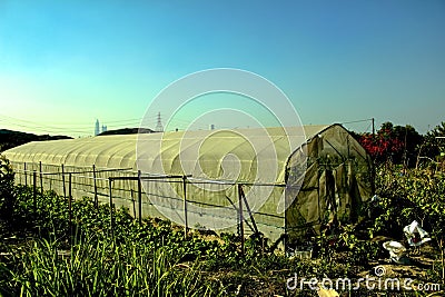The view of a greenhouse structure in a farm under the sun. Stock Photo