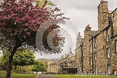 A view from Greyfriars Kirkyard Stock Photo