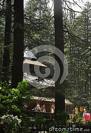 View of Hadimba Devi Temple from among cedar trees Editorial Stock Photo