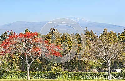 View of Hallasan mountain - symbol of Jeju-do island Stock Photo