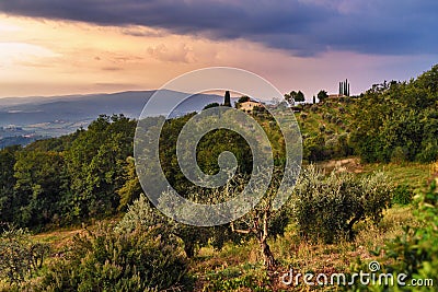 View on Fonterutoli on sunrise. It is hamlet of Castellina in Chianti in province of Siena. Tuscany. Italy Stock Photo