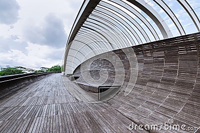 View of the Henderson Waves Bridge Editorial Stock Photo