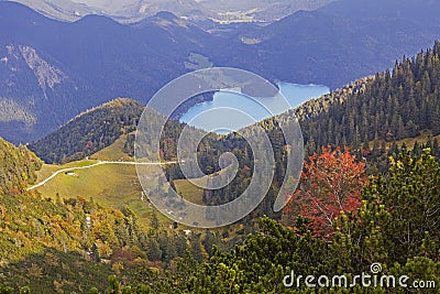 View from herzogstand mountain to lake walchensee Stock Photo