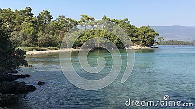 View of a Hidden Paradise Beach Inside the Forest Near Didim, Turkey Stock Video - Video of nature: 124891403