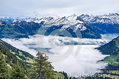 View from high top with fog ocean below and alp mountain in the Stock Photo