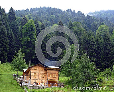 The unique view of the highland house integrated with green which is the most beautiful color of nature Stock Photo