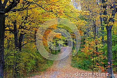 The view of of a hiking trail with stunning fall foliage near Mount Royal, Montreal, Canada Stock Photo