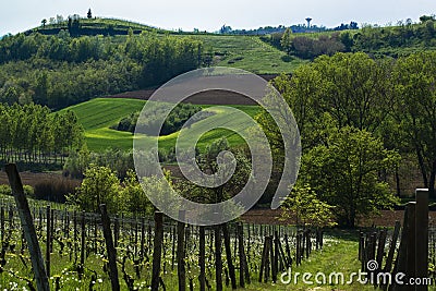 View on hills with cultivated vineyards and woods Stock Photo