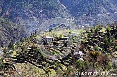 View of a Himalayan village house and terrace farming on slop of mountain Stock Photo