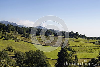 View of a house, cows, trees and grass field Stock Photo