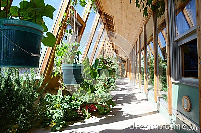 Vegetable garden inside an Earthship sustainable house near Taos in New Mexico, USA Editorial Stock Photo
