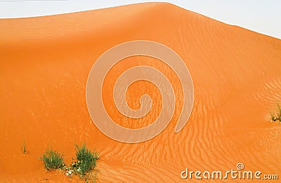 View on isolated lost tufts of green grass against red orange sand dune Stock Photo