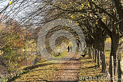 View on the Jaagpad, a trail next to the river Kromme Rijn near Utrecht in the Netherlands Editorial Stock Photo