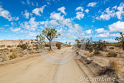 A View in Joshua Tree National Park, California Stock Photo