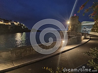 View jungle madeira trees cloudy bridge Stock Photo