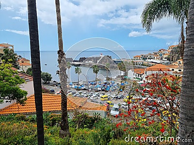 View jungle madeira trees cloudy bridge Stock Photo