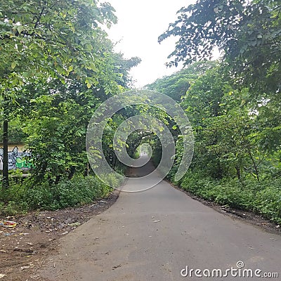 View of jungle road, Aarey, Mumbai Stock Photo